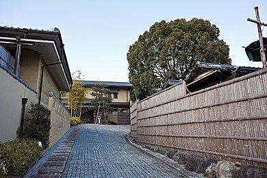 年货从不缺席！今年还是会有《使命召唤》游戏